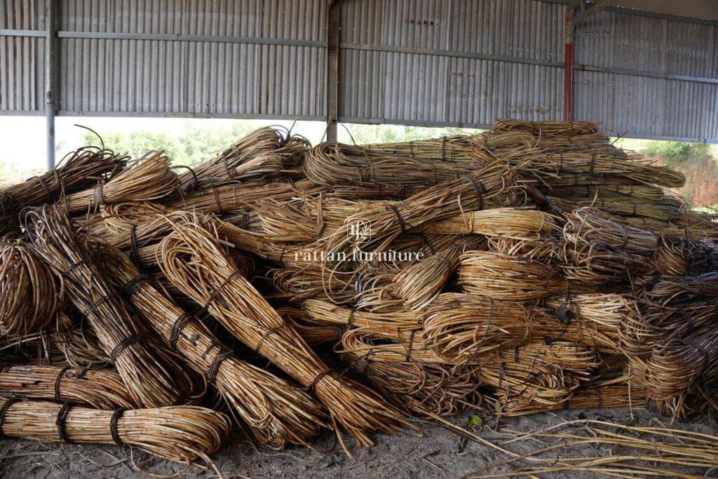 Rattan factory
