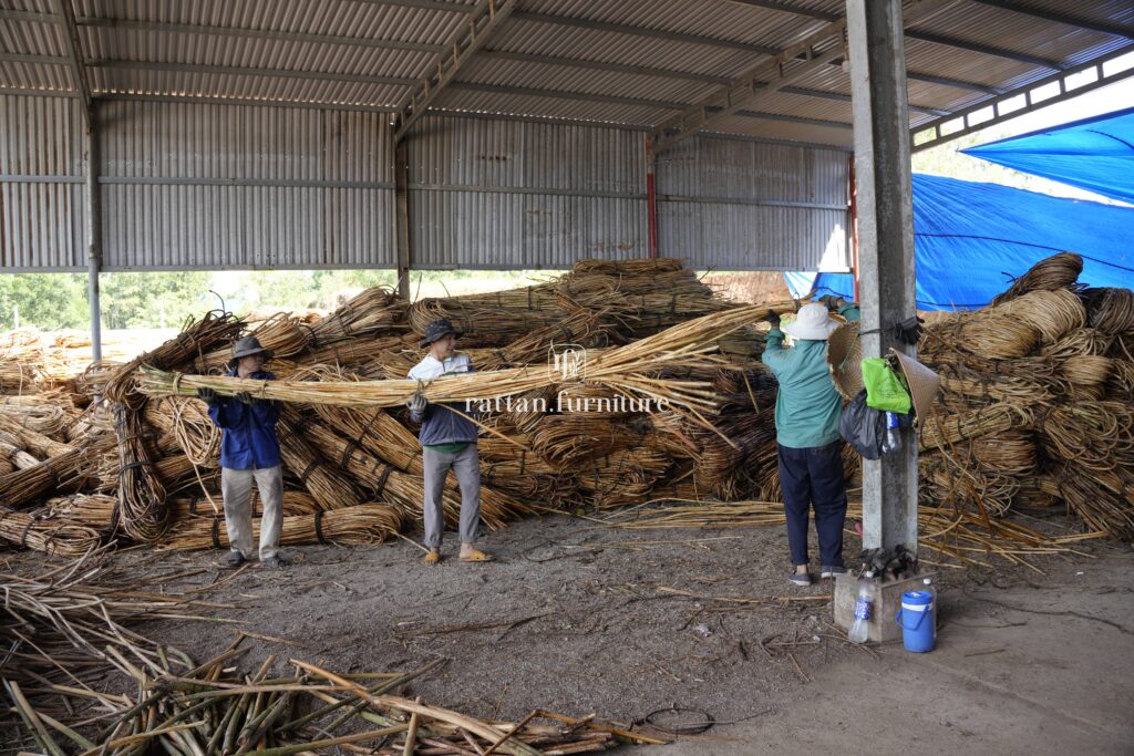 Rattan factory