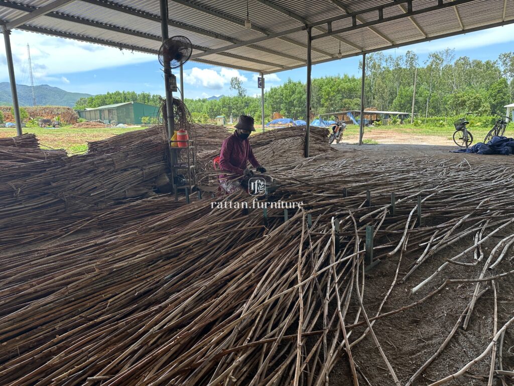 Rattan factory