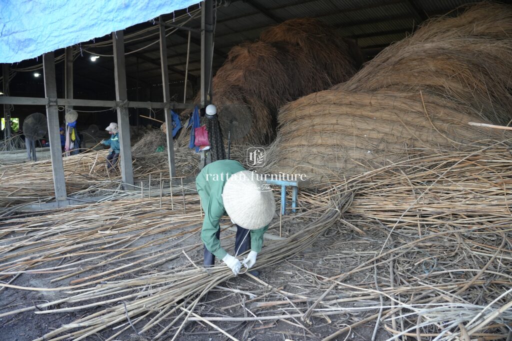 Rattan material vietnam